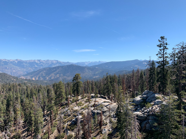 Trees and mountains in Sequoia National Park in December.