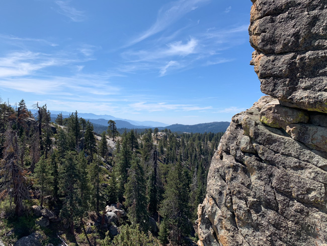 A rock face and trees in a California national park.
