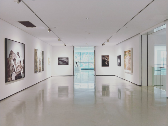 Fine Art Museum
