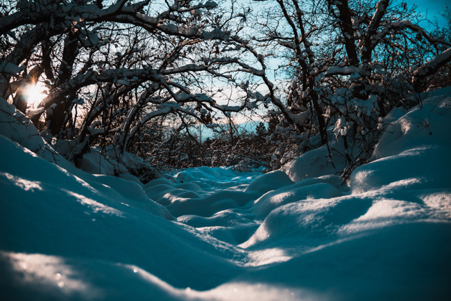 A snowy path through trees. Snowshoeing is one of the most fun things to do in Utah in winter.