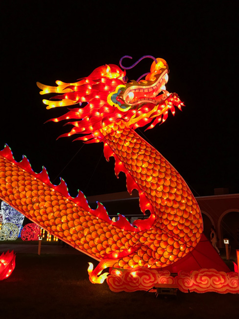 A red dragon decoration for the Chinese New Year.