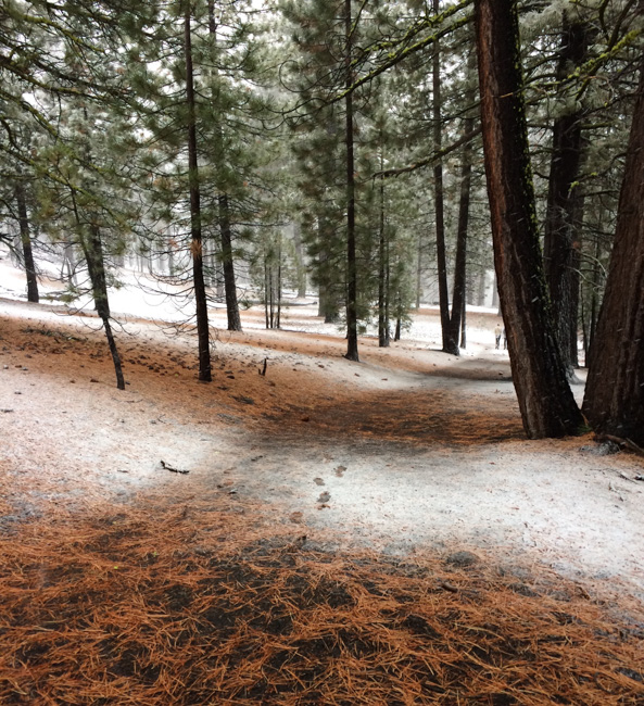 Lassen Volcanic National Park, one of the best places to visit in California in winter.