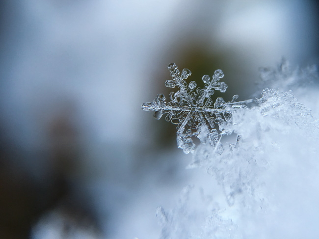 An intricate snowflake near Napa, one of the most romantic places to visit in California in winter.
