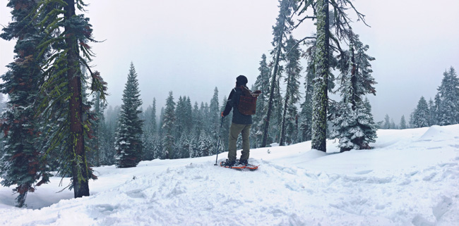 A man snowshoeing in Yosemite National Park.