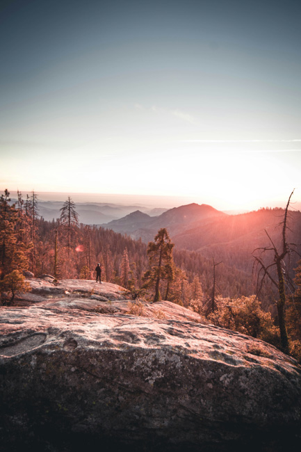 Sunrise over frosty trees and rocks in Sequoia National Park in December.