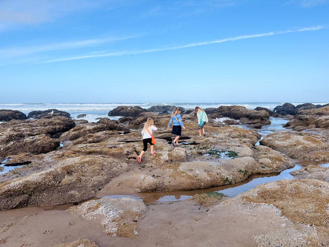 Tide pooling is another fun activity to enjoy while in Lincoln City to hike God's thumb