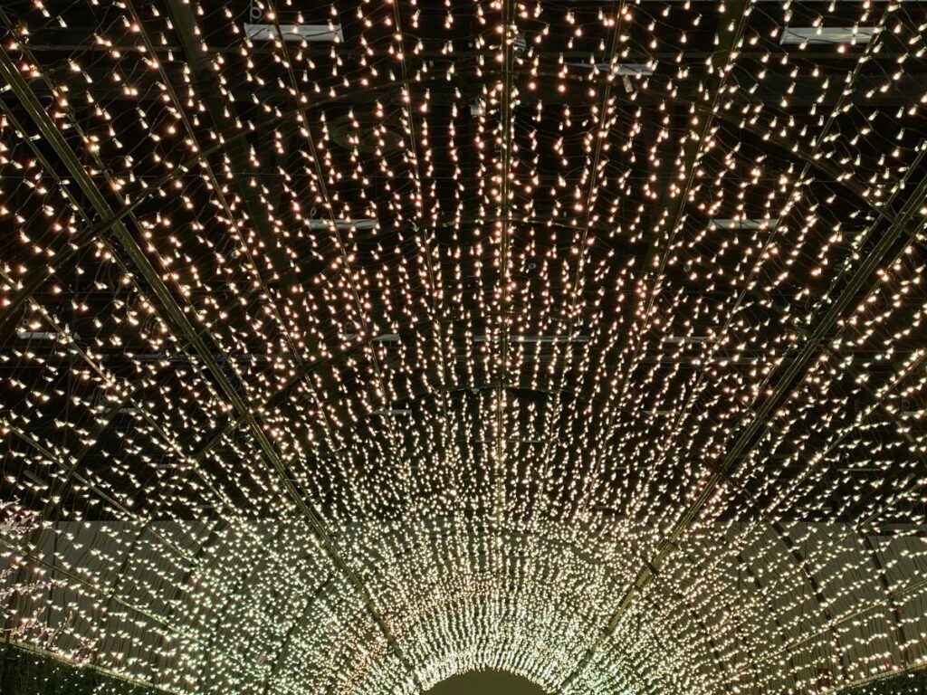 At Christmas in Color there is a large tunnel made of Christmas lights that you can drive through.