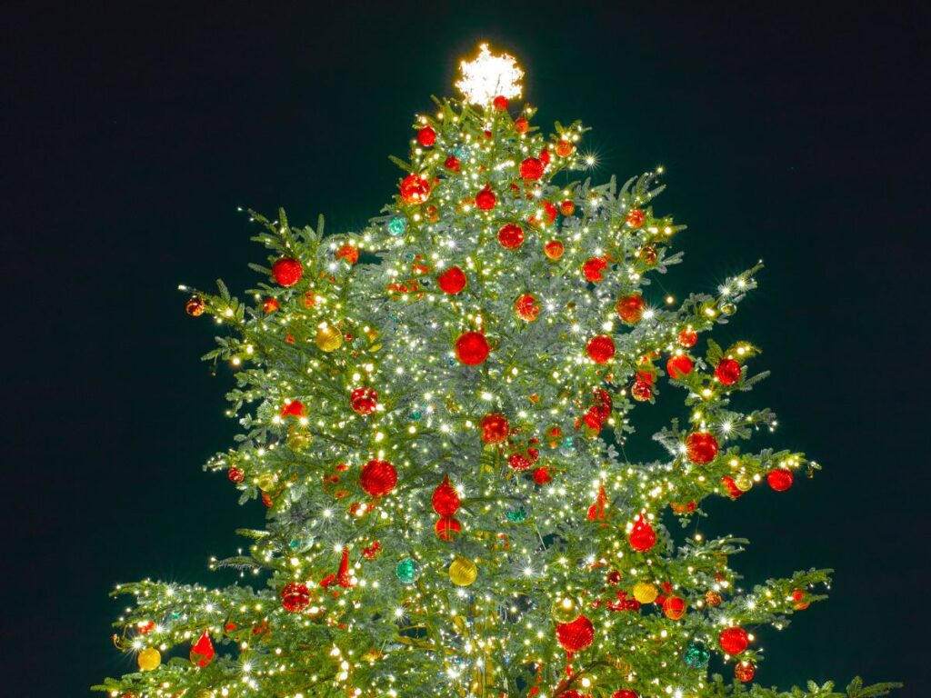 There is a large Christmas tree at the Village in Meridian with holiday decorations