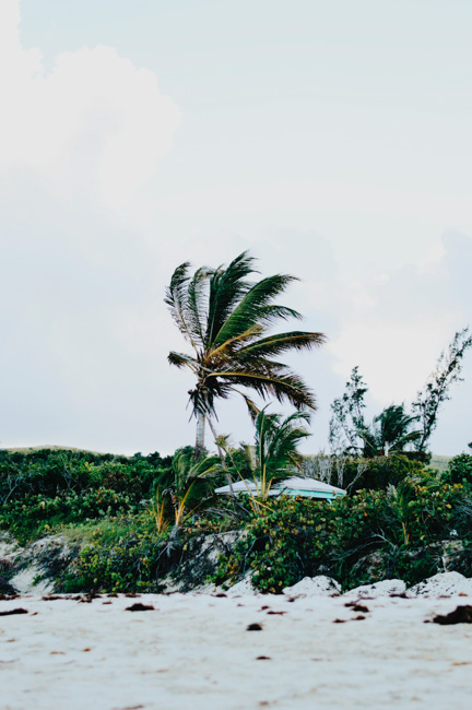 Hiking is a great way to enjoy this Puerto Rico island.