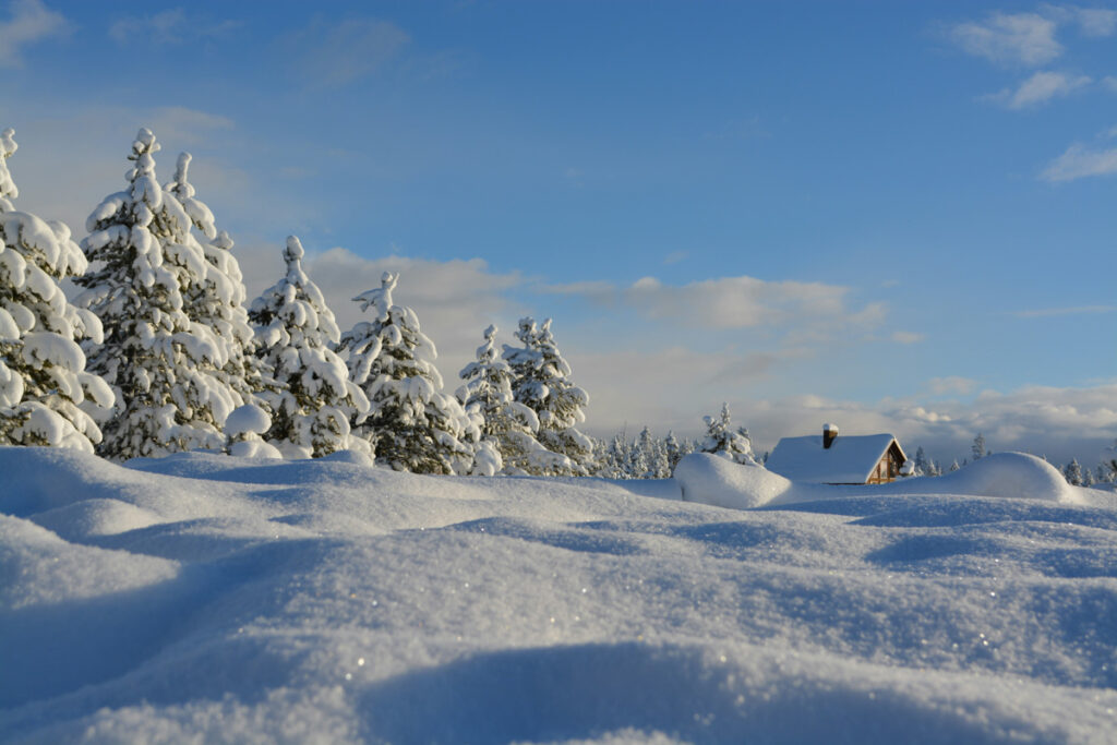 Island Park, Idaho gets a lot of snow during the winter.
