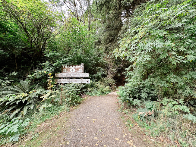 Cascade Head Trailhead near Lincoln City, Oregon