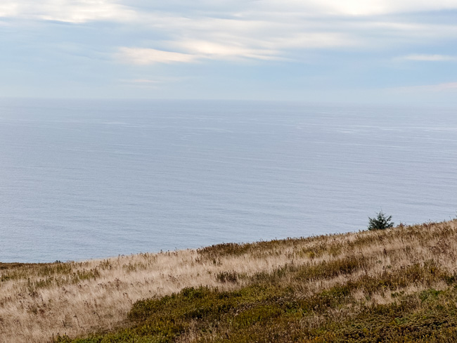 View of the Pacific Ocean from the Oregon Coast