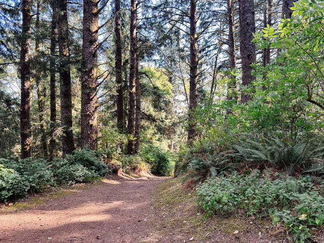 A part of the trail leading to God's Thumb.