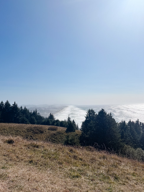 A view along the hike to God's Thumb.