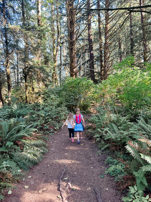 Children hiking to God's Thumb