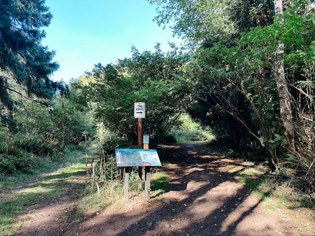 Fork in the trail when hiking to the Knoll and God's Thumb in Lincoln City, Oregon