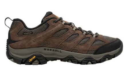A hiking shoe