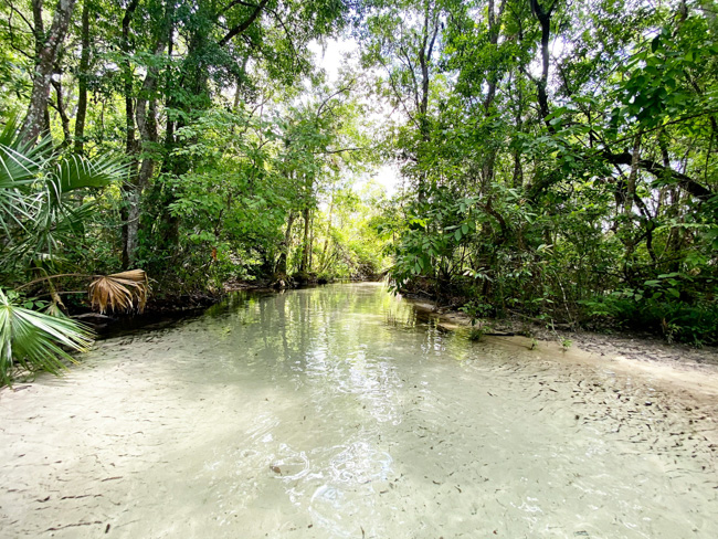 The beach at Crystal River is a fun place to spend the day with family.