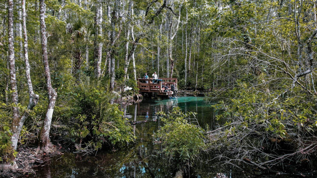 A boat tour at De Leon Springs State Park.