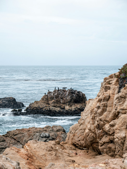A visit to Garrapata State Park is one of the most fun things to do in Big Sur.