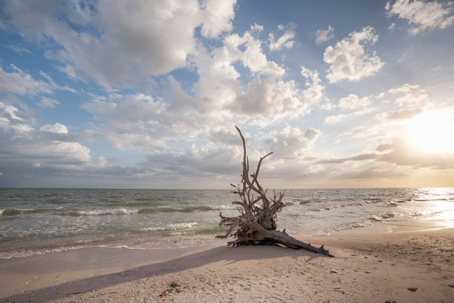 Shelling is one of the most fun things to do in Lovers Key State Park.