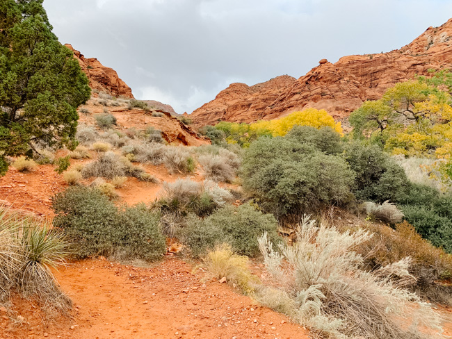 One of our family's favorite things to do in St. George, Utah is hiking in Snow Canyon State Park